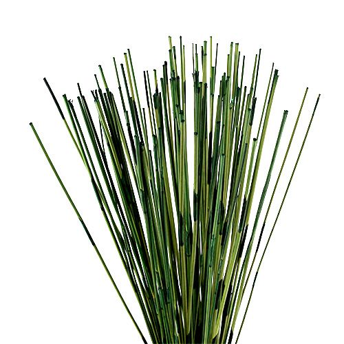 Floristik24 Vlei Reed 400g mørkegrøn