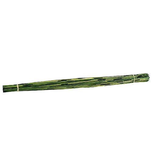 Floristik24 Vlei Reed 400g mørkegrøn
