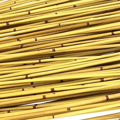 Floristik24 Vlei Reed 400g gul