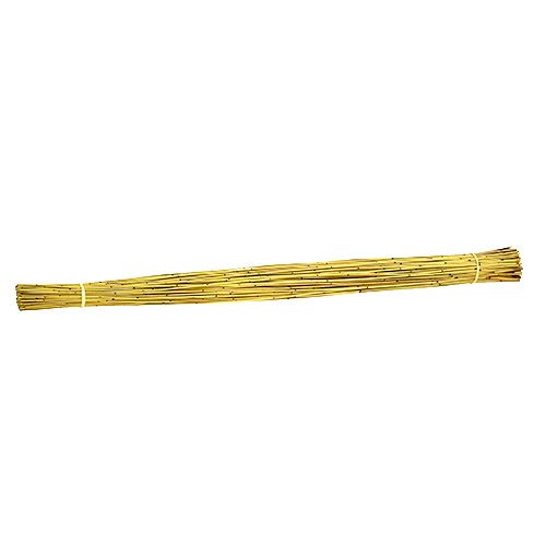 Floristik24 Vlei Reed 400g gul