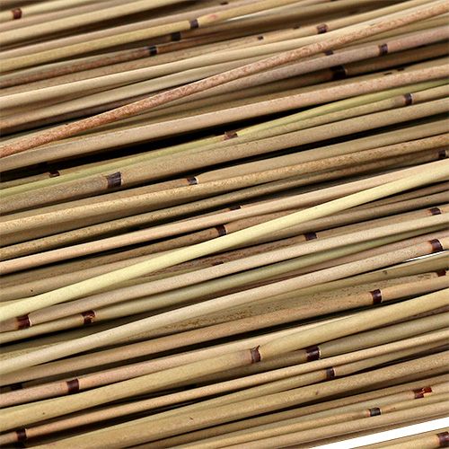 Floristik24 Vlei Reed 400g naturlig