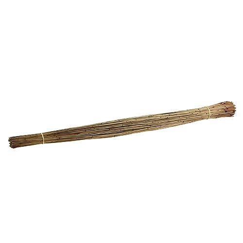 Floristik24 Vlei Reed 400g naturlig