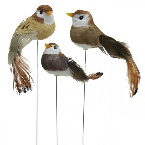 Floristik24 Forårsdekoration, minifugle, dekorative fugle på tråd brun, beige H2,5cm 24 stk.