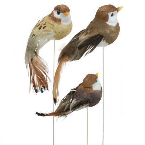 Floristik24 Forårsdekoration, minifugle, dekorative fugle på tråd brun, beige H2,5cm 24 stk.