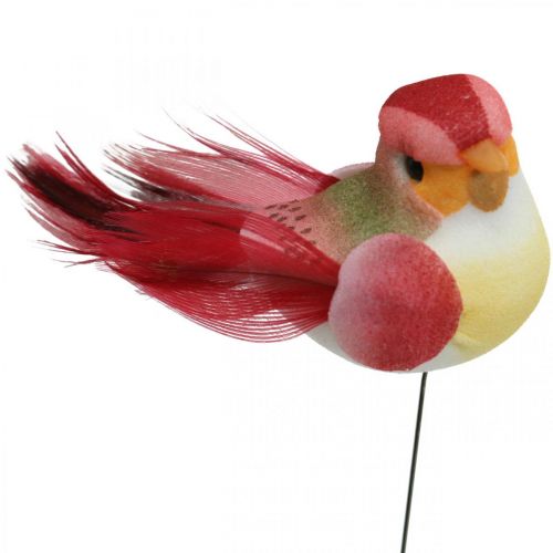 Floristik24 Fjeder, fugl på tråd, farverige blomsterpropper H2,5cm 24stk