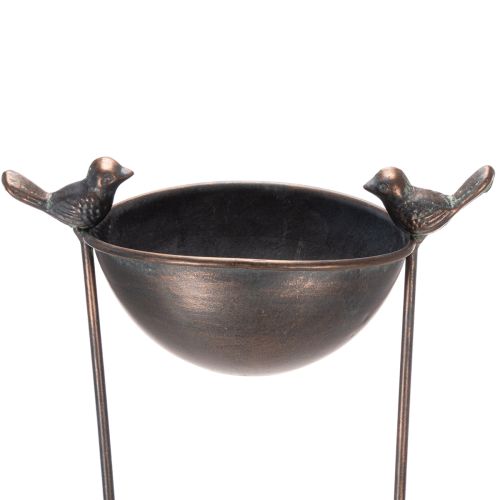 Dekorativt fuglebad, blomsterskål med espalier, nostalgisk look, stilfuld haveaccessoire, 75 cm