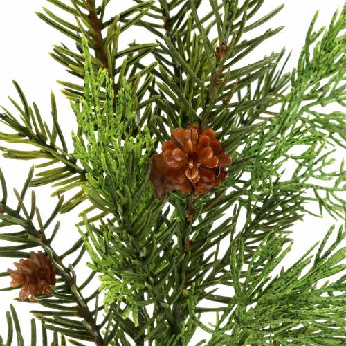 Floristik24 Juniper gren 40cm