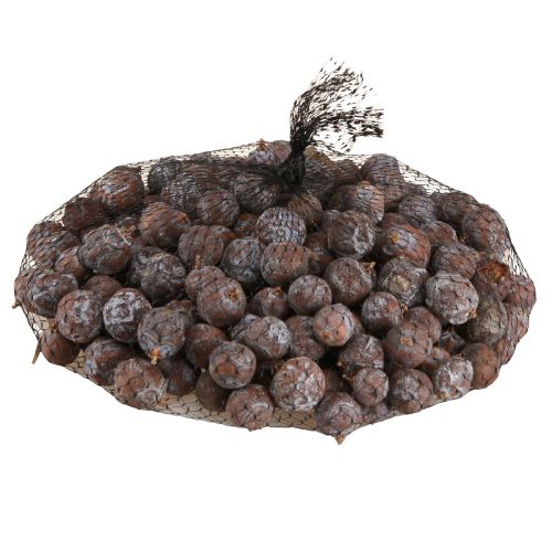 Floristik24 Enebærkogler Syrisk enebær natur Ø1,5–2,5cm 1kg