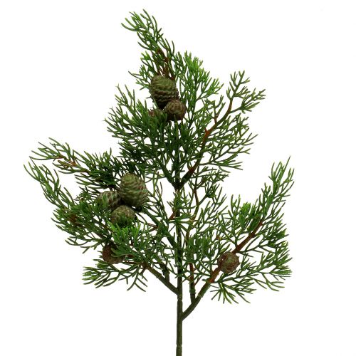 Floristik24 Juniper gren med kegler grøn 39 cm 3stk