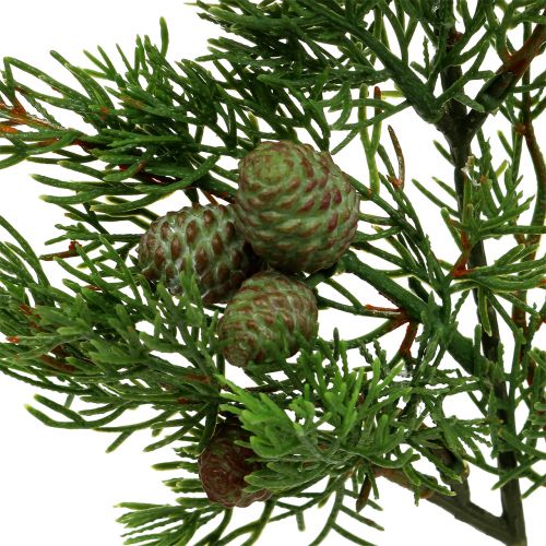 Floristik24 Juniper gren med kegler grøn 39 cm 3stk