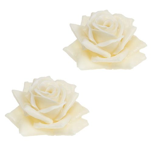 Floristik24 Voksrosa Ø10cm creme 6stk