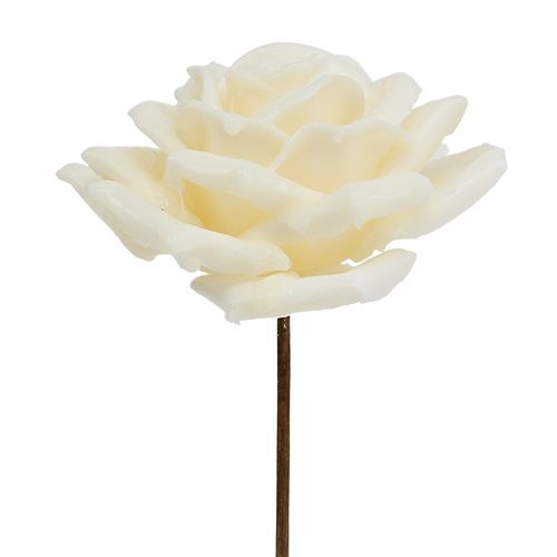 Floristik24 Voksrosa Ø10cm creme 6stk