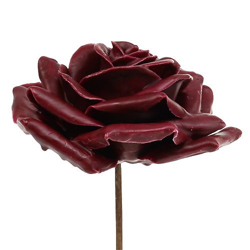 Floristik24 Voksrosa mørkerød Ø10cm 6stk
