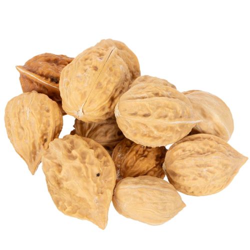 Valnødder til pynt, naturprodukt, 3-4 cm, 300 g købe | Floristik24.dk