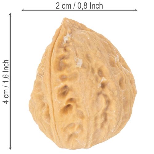 Valnødder til pynt, naturprodukt, 3-4 cm, 300 g | Floristik24.dk