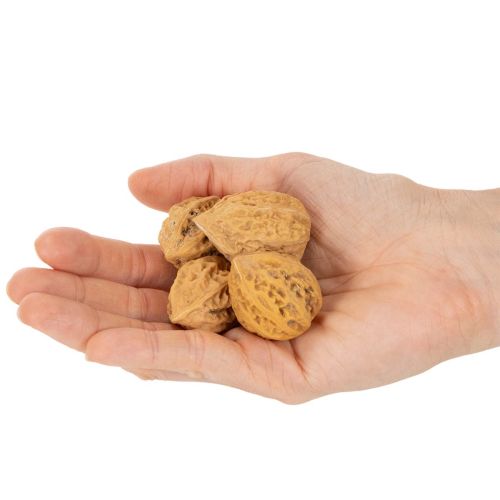 Valnødder, et naturprodukt til borddekoration og gør-det-selv-projekter. Naturlige valnødder, 4-5 cm, 300 g. | Floristik24.dk