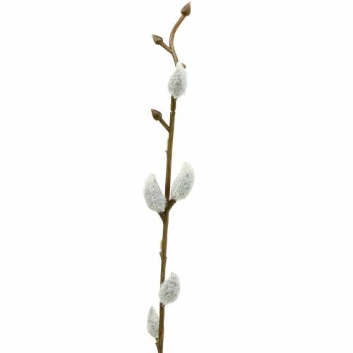 Floristik24 Pussy pil bundt L54cm 3 stk