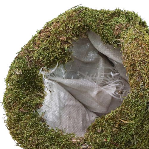 Artikel Juletræ mos træ dekoration i grøn natur Ø25cm H70cm