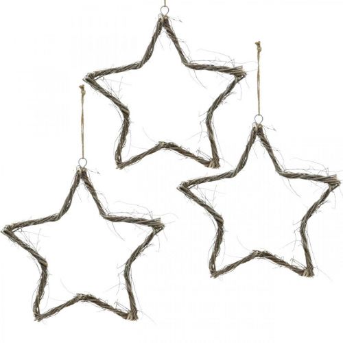 Floristik24 Julepynt stjerne hvidvaskede stjerner til at hænge op elm 30cm 4stk