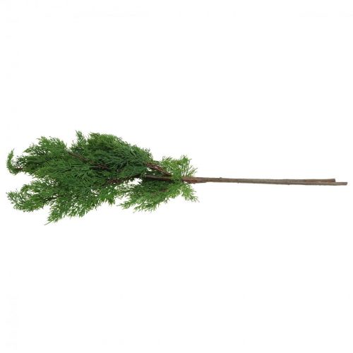 Floristik24 Julegrene cypresgrene kunstgrøn 72cm 2stk