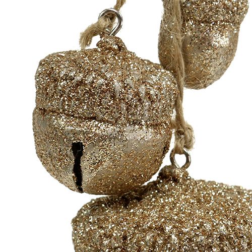 Floristik24 Dekorativ bøjle eikenører 3cm-5cm champagne L16cm 3stk
