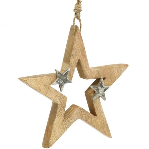 Artikel Julestjerne til at hænge Stjerne trædekoration Jul H22cm