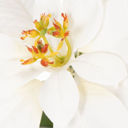 Kunstig julestjerne, hvid, storblomstret, dekorativ plante, 40 cm | Floristik24.dk