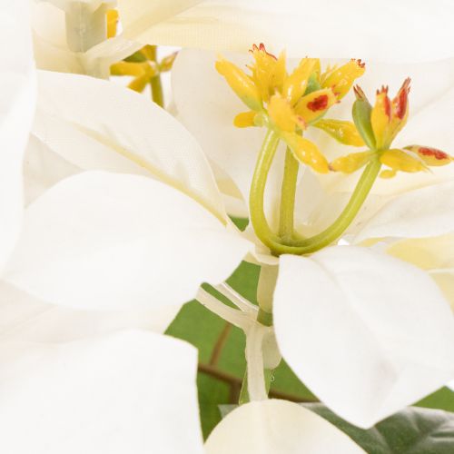 Kunstig julestjerne, hvid, storblomstret, dekorativ plante, 40 cm | Floristik24.dk