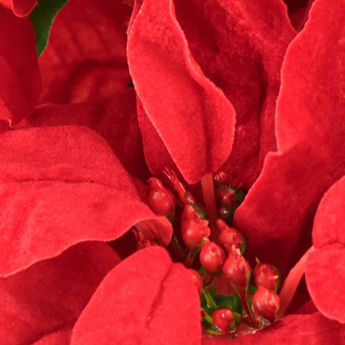 Artikel Julestjerne Rød Kunstig Plante 5 Blomster 40cm