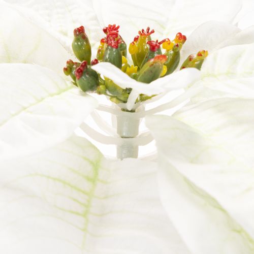 Kunstig hvid julestjerne, stor blomstrende grendekoration, 65 cm, 2 stk. | Floristik24.dk