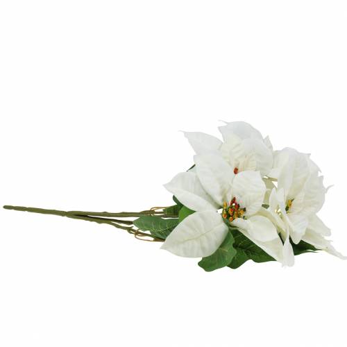 Floristik24 Julestjerne buket hvid 52cm
