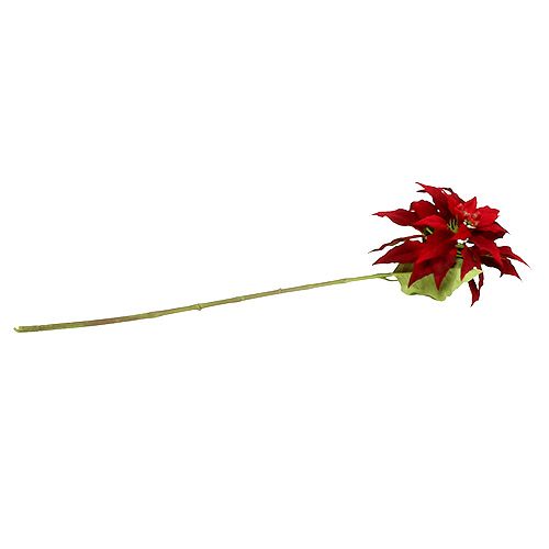 Floristik24 Julestjerne rød 70cm