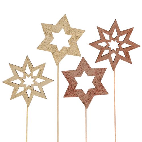 Floristik24 Julestjerne blomsterpropper bronze guld Ø5,5cm 18 stk