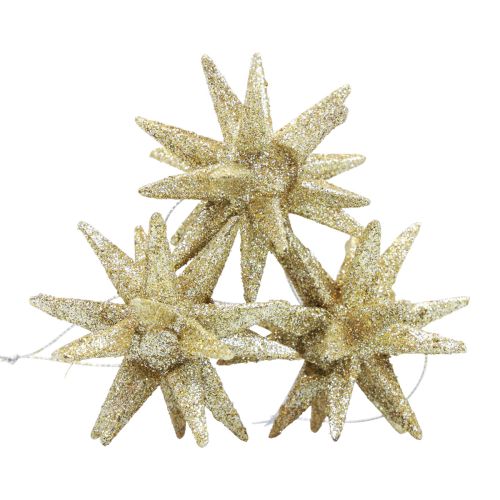 Floristik24 Julestjerner Julepynt guldglimmer Ø7cm 6 stk