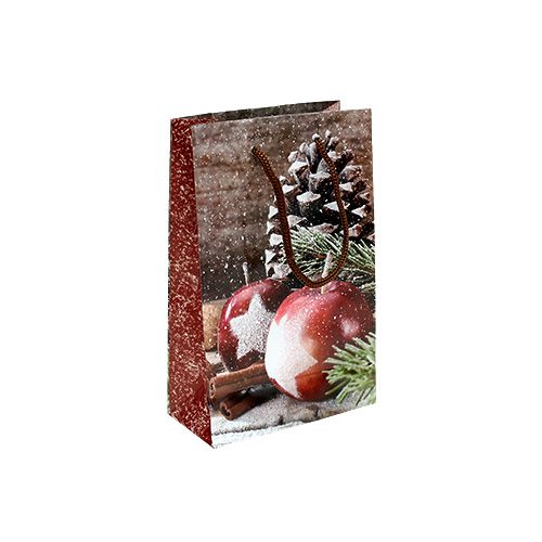 Floristik24 Julepose med æble, kegle-motiv 12x19cm 1 stk