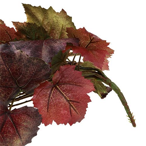 Floristik24 Vine blade bøjle grøn, mørk rød 100cm