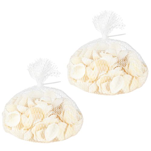 Floristik24 White Shells Dekorative Cockles 2-3,5cm 300g × 2stk
