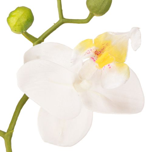 Artikel Hvide kunstige orkidéblomster i potte Phalaenopsis H33cm