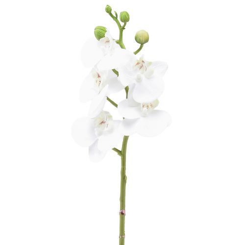 Hvid kunstig orkidé Phalaenopsis Real Touch 32cm