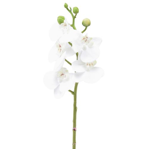 Floristik24 Hvid kunstig orkidé Phalaenopsis Real Touch 32cm