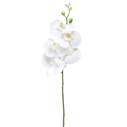 Artikel Hvid kunstig orkidé Phalaenopsis Real Touch 85cm