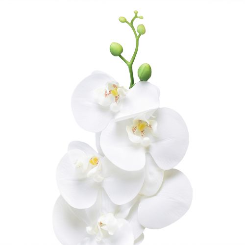 Artikel Hvid kunstig orkidé Phalaenopsis Real Touch 85cm