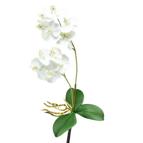Hvid orkidé på Pick Artificial Phalaenopsis Real Touch 39cm
