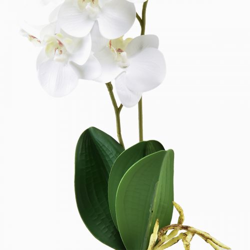 Artikel Hvid orkidé på Pick Artificial Phalaenopsis Real Touch 39cm