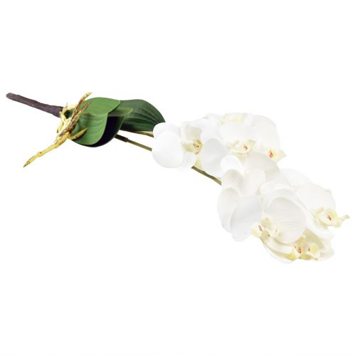 Artikel Hvid orkidé på Pick Artificial Phalaenopsis Real Touch 39cm