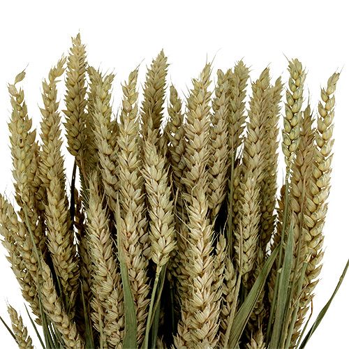 Artikel Hvedebundt naturlig deco-hvede 1 bundt 150g
