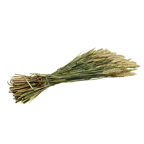 Artikel Hvedebundt naturlig deco-hvede 1 bundt 150g