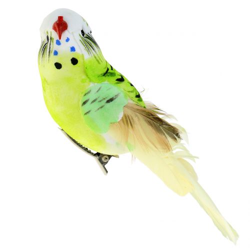Floristik24 Budgie på klip grøn 13cm 6stk