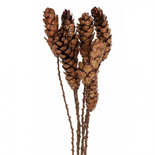 Artikel Hvide fyrrekogler fyrrekogler kobber 70cm 7 stk bundt