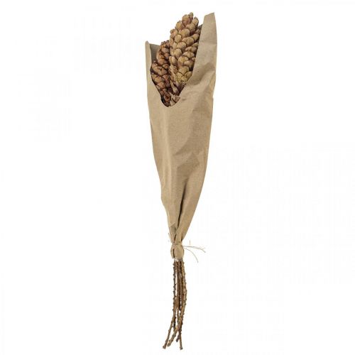 Floristik24 Hvide fyrrekogler fyrrekogler H70cm 7 stk bundt